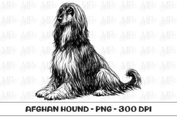 Afghan Hound Dog Sketch PNG for Creative Projects