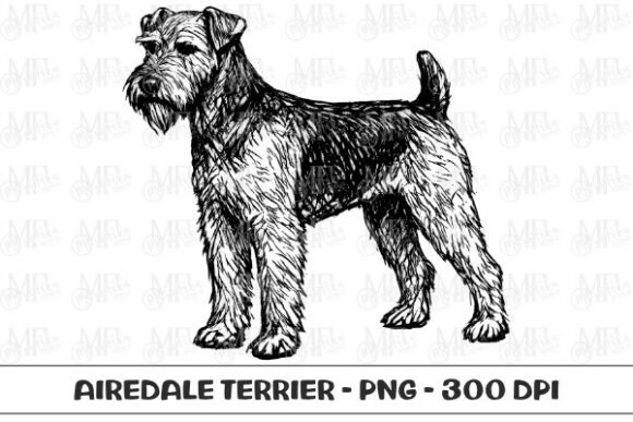 Airedale Terrier Dog Sketch PNG: A Practical Asset for Creators