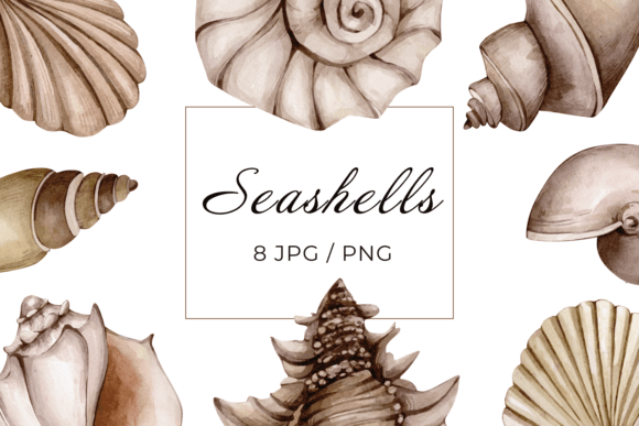 Watercolor Natural Seashells Cliparts: A Practical Guide for Designers and Crafters