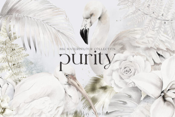 White Birds Flowers Feathers Ultimate: A Curator’s Guide to Elegant Digital Design